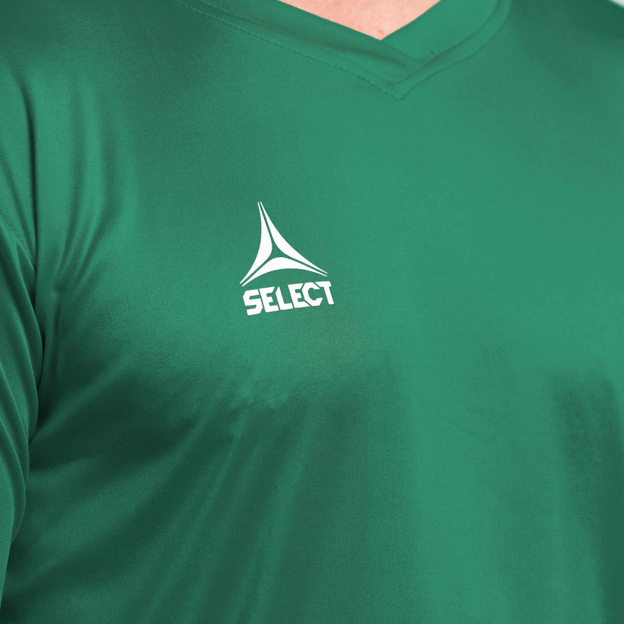 Pisa Trikot #colour_grün/weiß #farbe_grün/weiß
